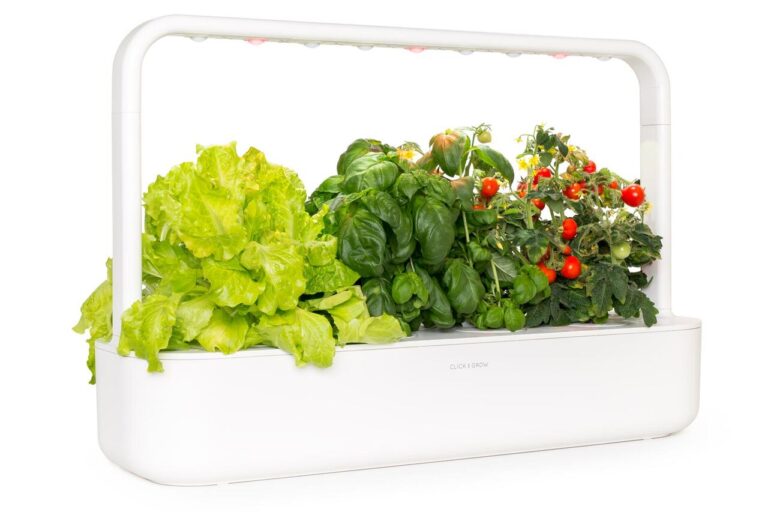 Click & grow indoor herb garden