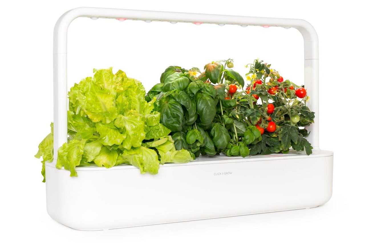 Click & grow indoor herb garden