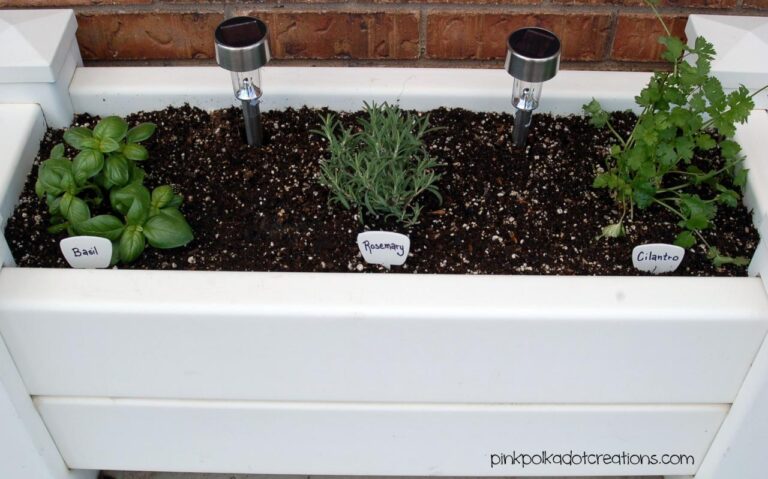 Patio herb garden containers