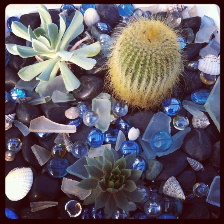 Tabletop herb grower