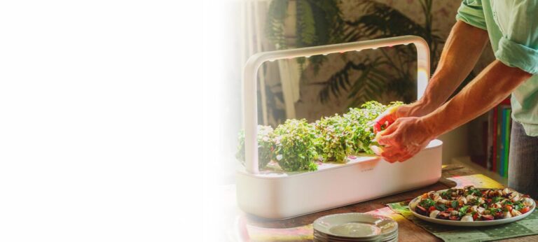 Click & grow indoor herb garden